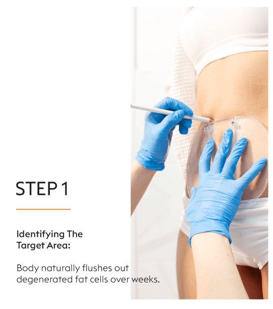Body Therapy 2