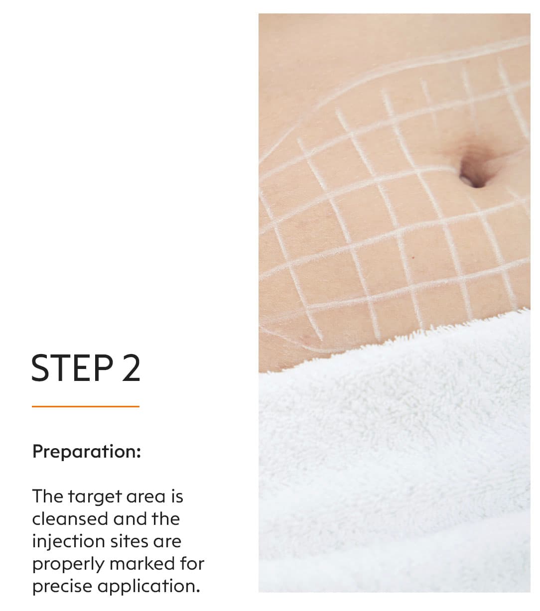 Body Therapy 2